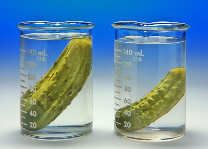 Image of cucumbers being used for an osmosis experiment